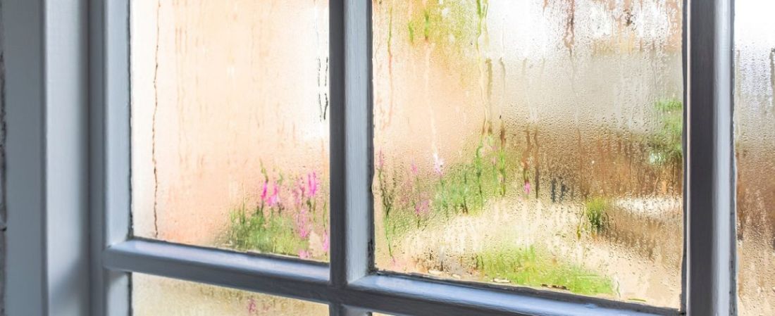 Casa úmida? Entenda por que o calor abafado pode deixar ambientes ‘suados’