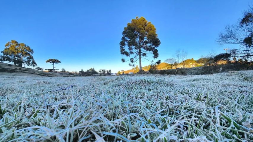 Após calorão fora de época, frio intenso volta a tomar conta da Serra de SC, com temperaturas negativas e até geada