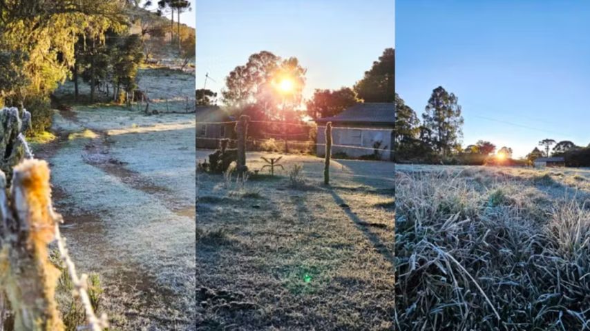 Vegetação coberta de gelo e mínima de -9°C marcam amanhecer na Serra de SC