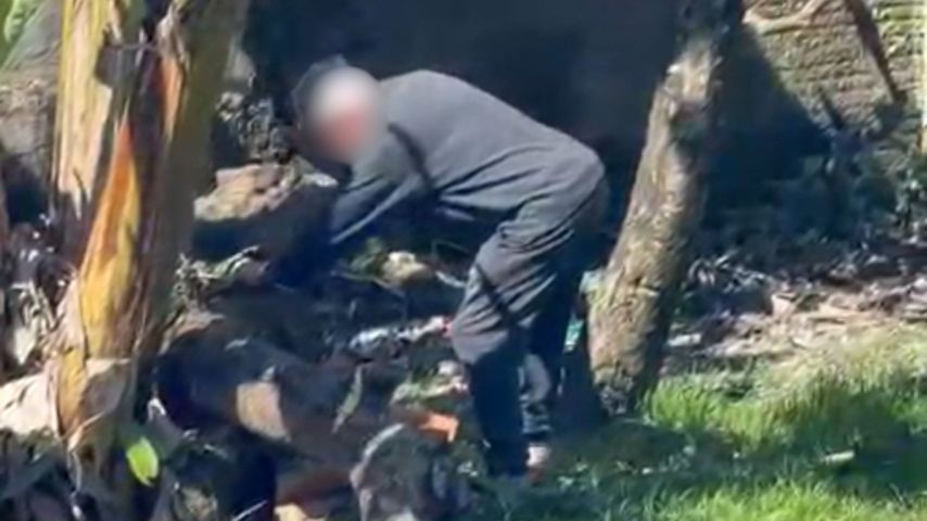 Moradora flagra vizinho matando filhotes de cachorro com facão em Joinville; VÍDEO