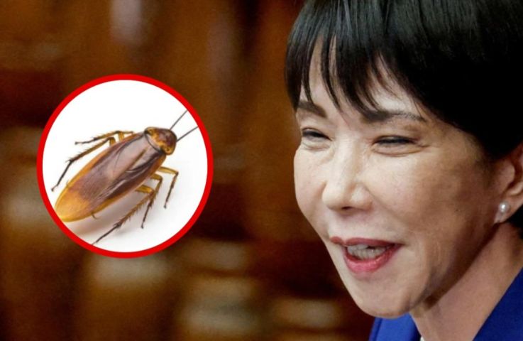 Premiê do Japão diz que se apegou a barata durante rotina solitária na residência oficial