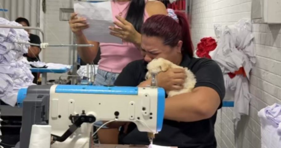 Costureira ganha nova cadela de presente da patroa após perder sua companheira de estimação; VÍDEO