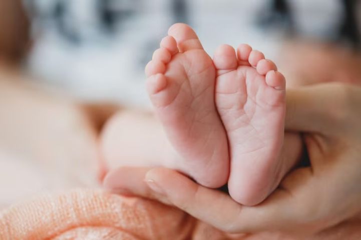 Recém-nascidos de 2 kg e 3 kg chegam a abrigo de Tubarão, que pede doações