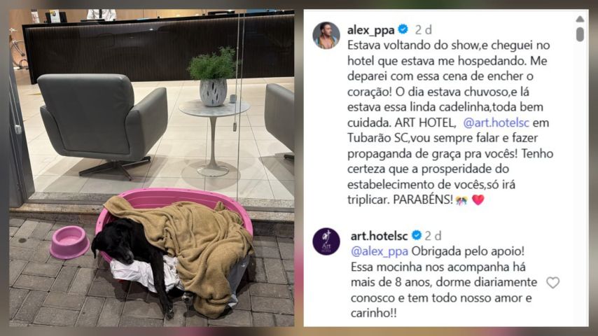 Hotel de Tubarão viraliza após cantor famoso postar o cuidado do estabelecimento com um cãozinho