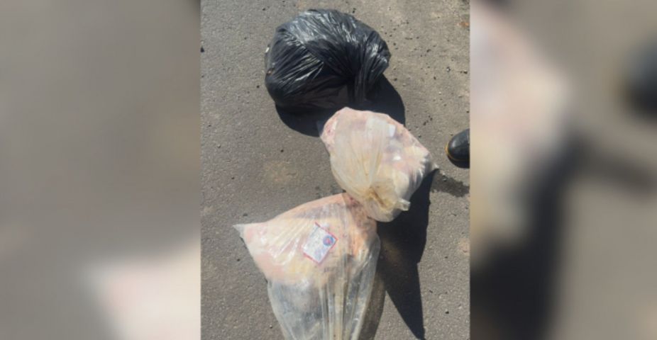 (Vídeo) Dono de mercado é investigado após alimentos serem jogados em rio de Criciúma