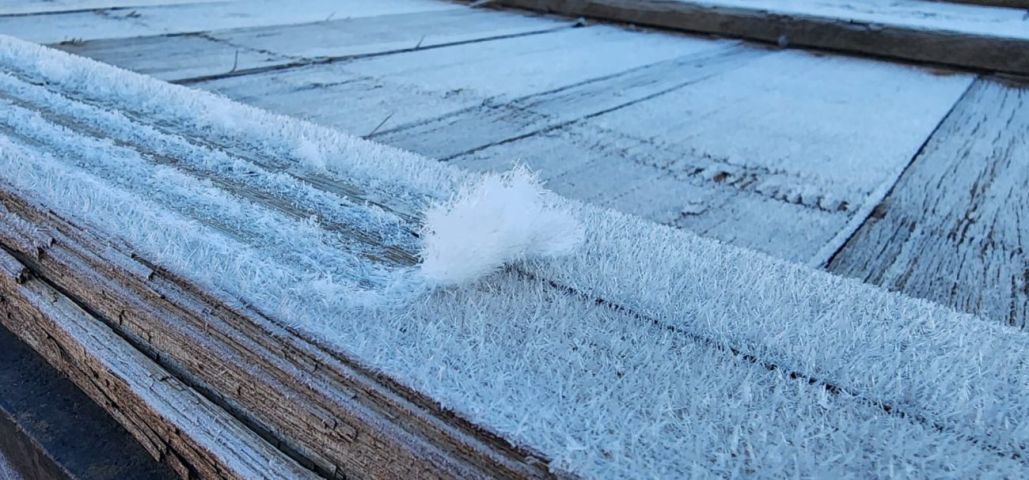 (Vídeo) Serra Catarinense amanhece sob frio intenso com temperaturas próximas de 0°C