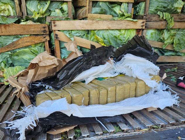 Repolho por fora, maconha por dentro: quase 2,5 toneladas são apreendidas em SC