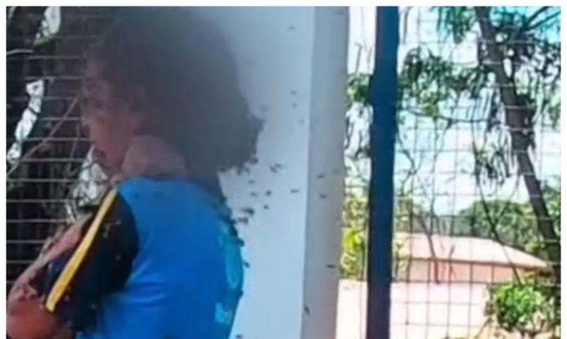 Motoboy leva 40 picadas ao salvar menina durante ataque de abelhas perto de escola; VÍDEO
