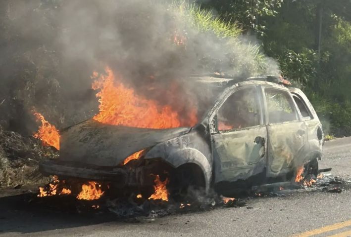 Mãe tira três filhos de carro segundos antes de veículo ser destruído por incêndio
