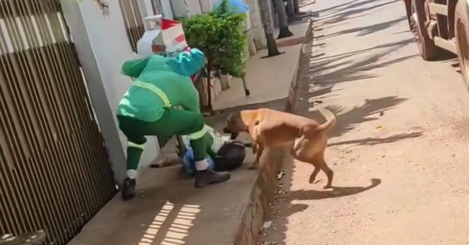 Caramelo atrapalha gari durante coleta de lixo e vídeo viraliza nas redes; ASSISTA