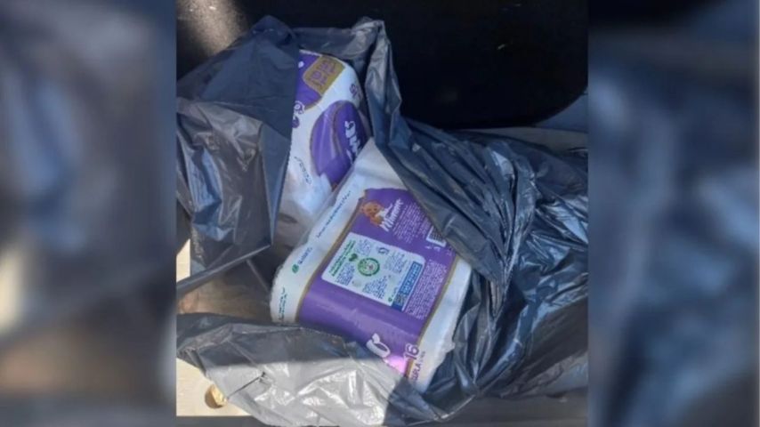 Em SC: Funcionária de escola é flagrada furtando 32 rolos de papel higiênico