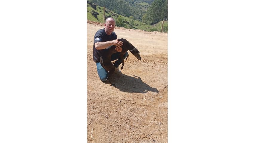 Cadela é resgatada em situação de abandono em local ermo no bairro Rio do Pouso, em Tubarão