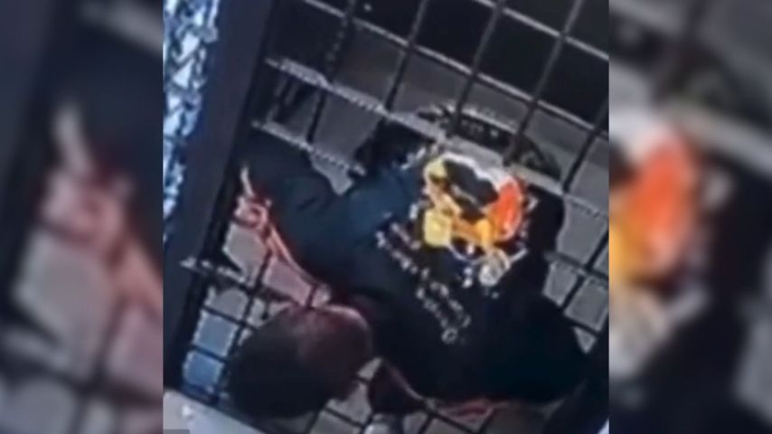 Homem se espreme entre as grades e consegue fugir de cela da Central de Plantão Policial