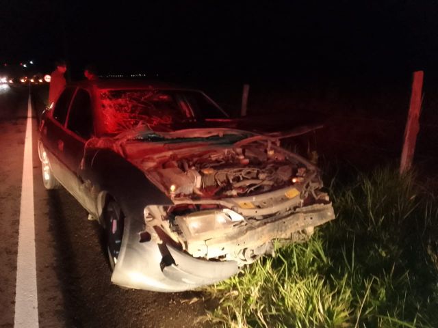 Carro colide contra cavalo solto na pista na SC-437, em Imaruí