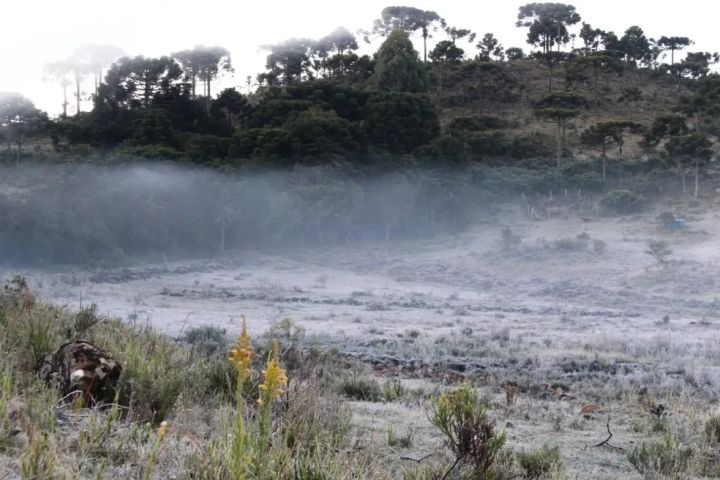 Geada na primavera: nova massa de ar polar provoca queda nas temperaturas no Sul do Brasil