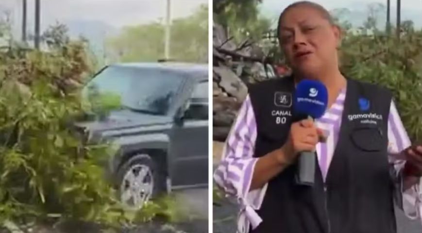 (Vídeo) Repórter e cinegrafista são atropelados durante entrada ao vivo no México