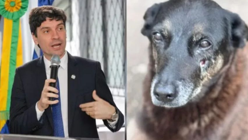 Eleito deputado, delegado do caso Orelha admite que 'houve erro na divulgação dos fatos' pela Polícia Civil