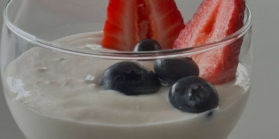Nutrição com Claudia Levandoski: IOGURTE GREGO NATURAL