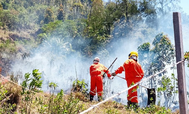 Incêndio em área de mata é controlado em Sangão