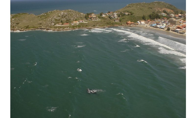 Imbituba: Justiça ordena demolição de casa construída em área de preservação ambiental