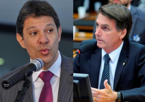Bolsonaro e Haddad estão empatados com 50% cada, aponta Vox Populi