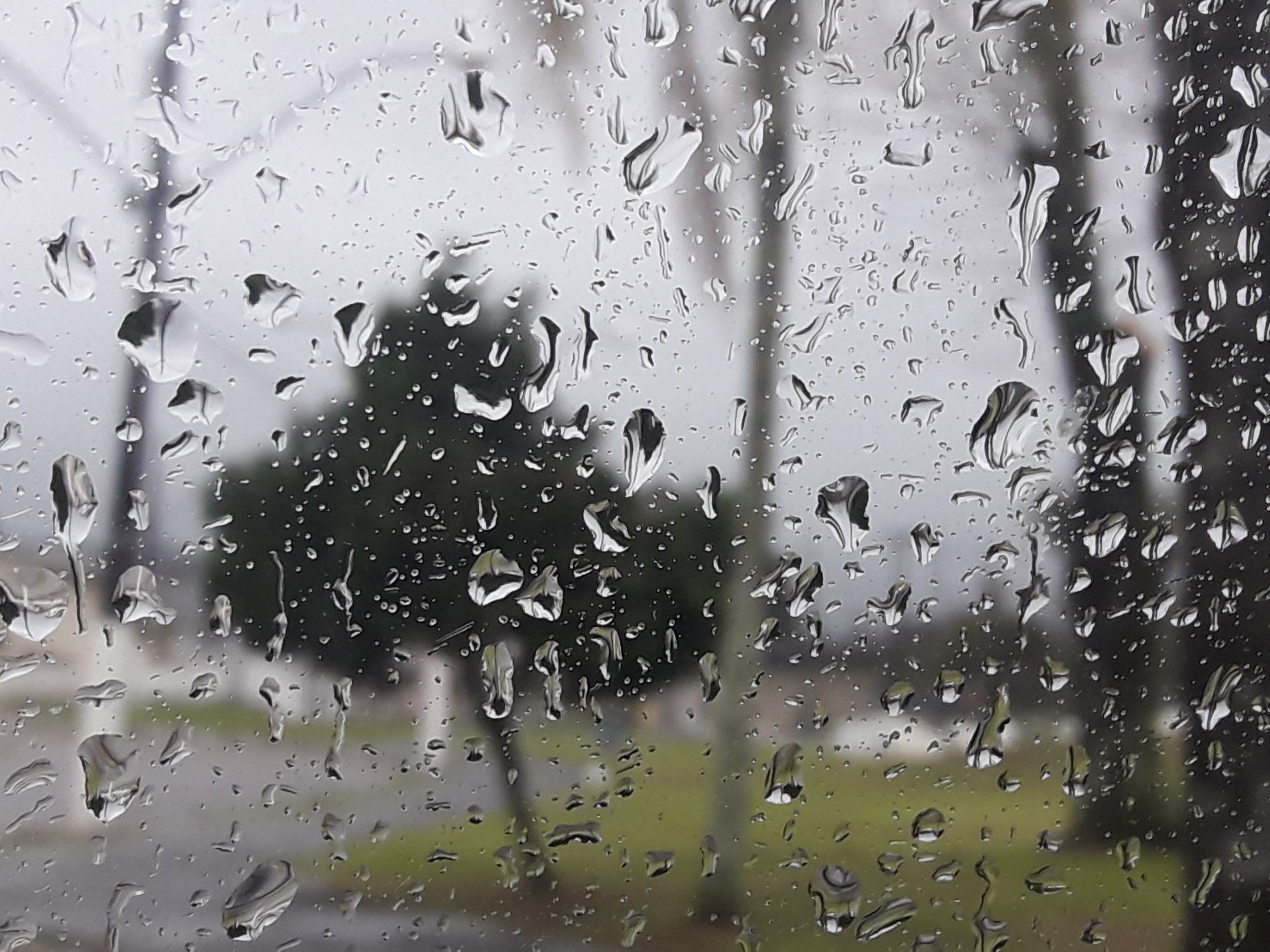 Previsão meteorológica indica mudanças bruscas no tempo em SC a partir desta quarta-feira (31)