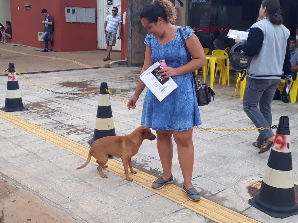 No país: Cãozinho espera por quase sete horas dona que fazia prova do Enem