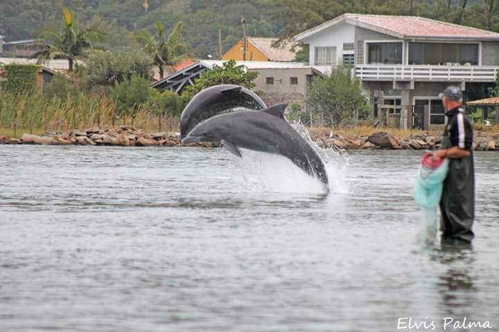 Botos pescadores: Tubarão aprova lei de proteção
